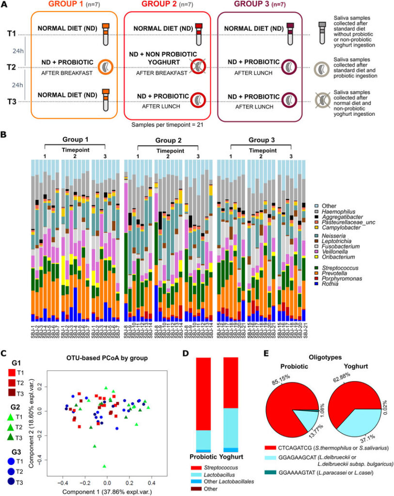 Study-design-composition-and-diversity-of-the-saliva-microbiome-
